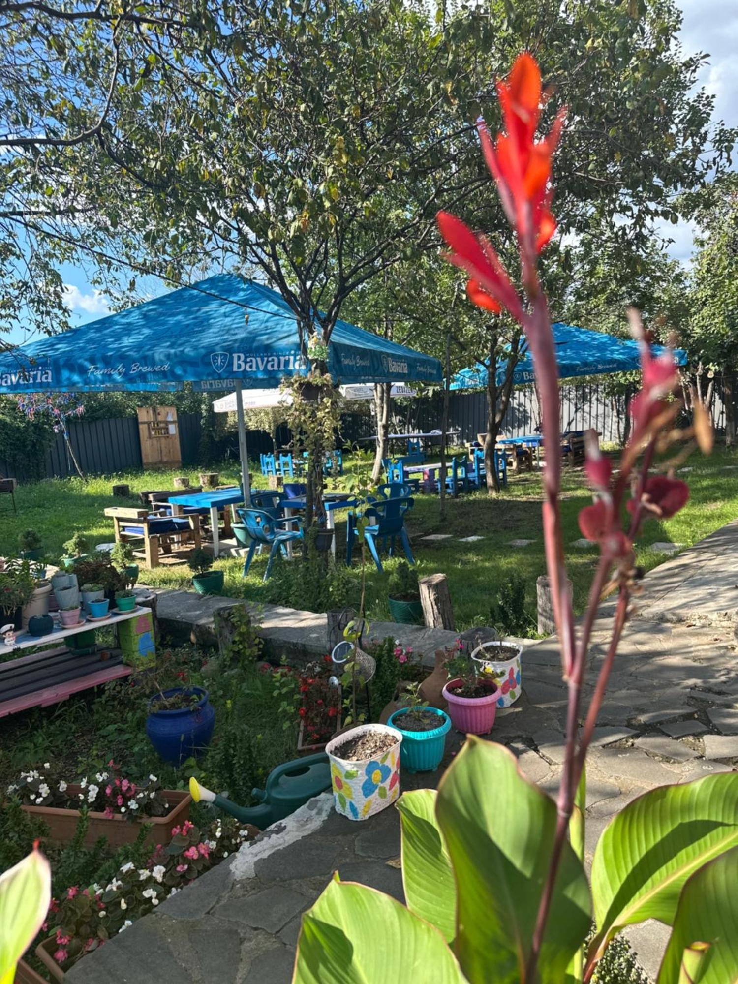 Napoli Nataxtari Hotel,Pool,Bar,Kamping Natakhtari 외부 사진